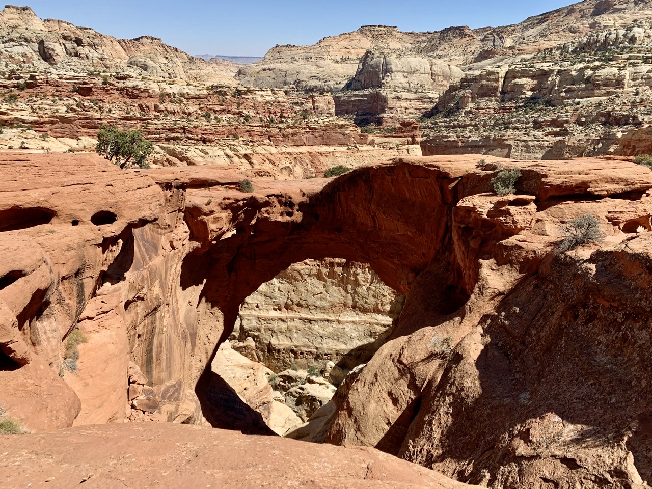 Capitol Reef's Legendary Cassidy Arch Trail: Hike Tips