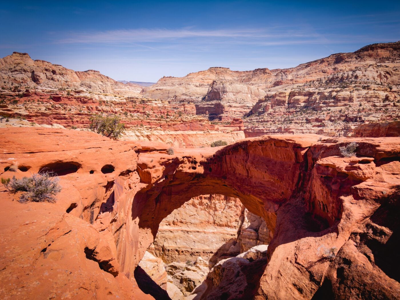 Navigating Cassidy Arch: Best Hike in Capitol Reef National Park